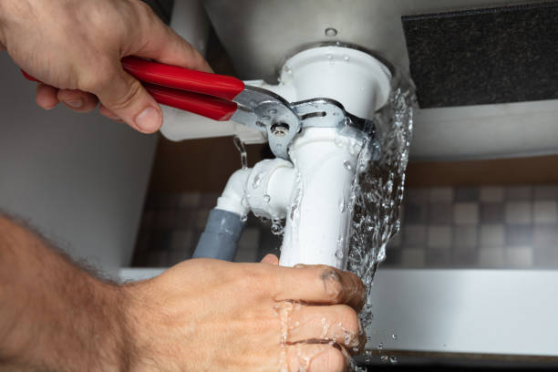 Best Flooded house restoration  in Cheswold, DE