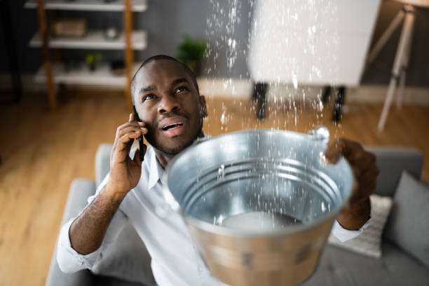 Best Water damage restoration near me  in Cheswold, DE