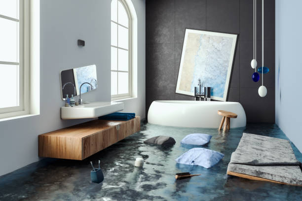 Best Water damage restoration experts  in Cheswold, DE