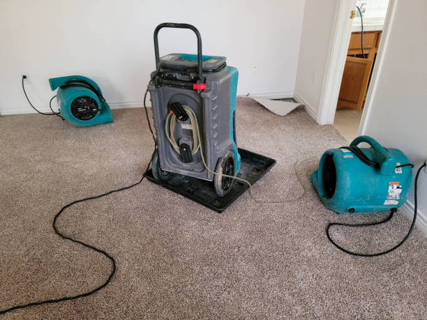 Best Professional water damage repair  in Cheswold, DE