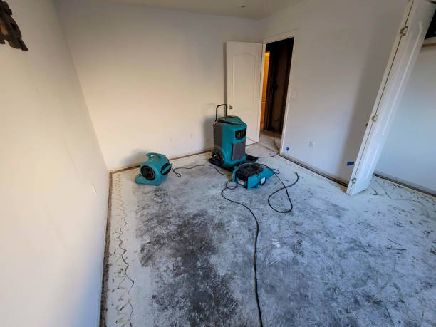 Best Water damage contractors near me  in Cheswold, DE
