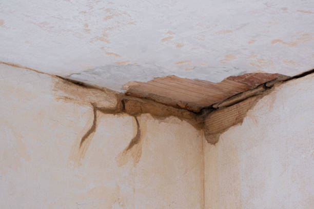 Best Sewage cleanup and water damage restoration  in Cheswold, DE