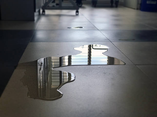 , DE Water damage restoration Company
