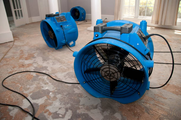 Best Residential water damage restoration  in Cheswold, DE