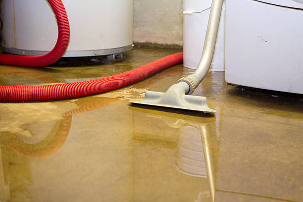 Best Flood restoration services  in Cheswold, DE