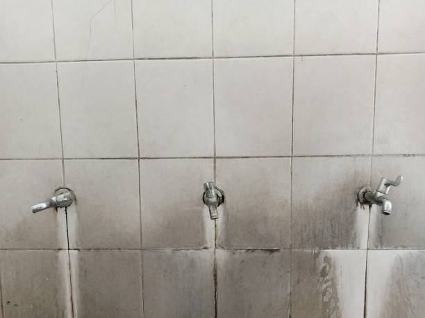  Cheswold, DE Water damage restoration Pros