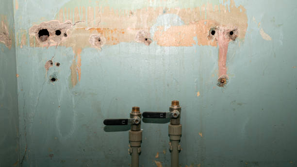 Best Emergency water damage restoration  in Cheswold, DE