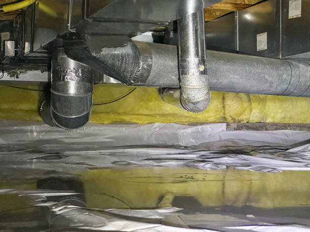 Best 24/7 water damage repair  in Cheswold, DE