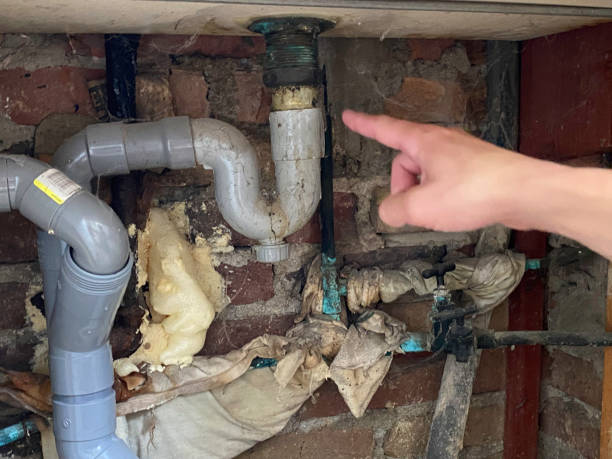 Best Fire Damage Restoration  in Cheswold, DE