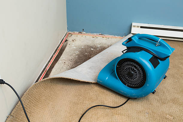 Best Water damage restoration near me  in Cheswold, DE